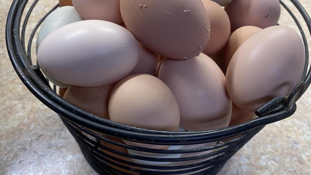 Eggs
