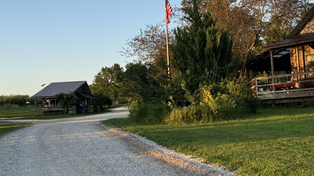 Looking up the Driveway