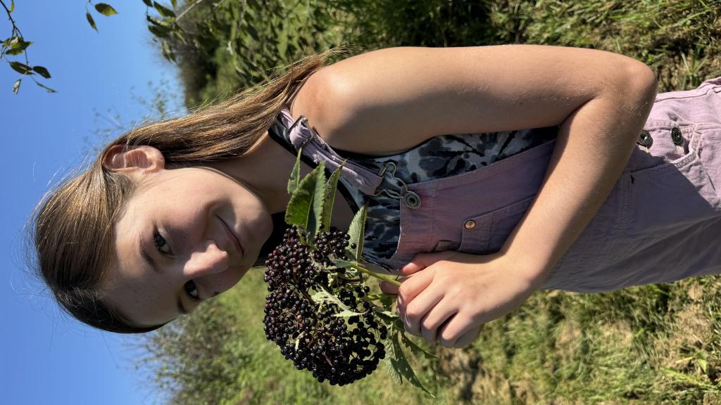 Elderberries