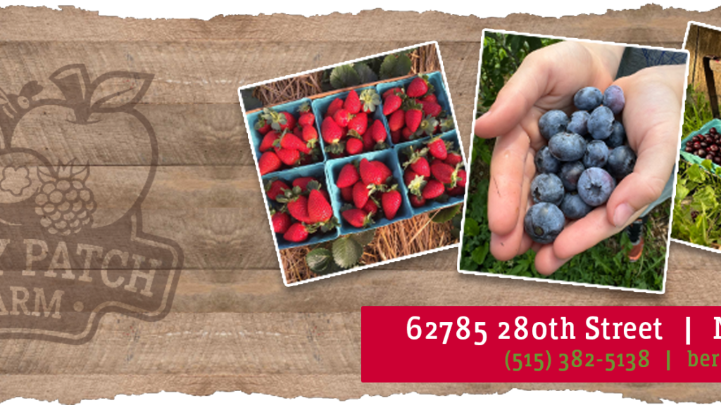 Berry Patch Farms