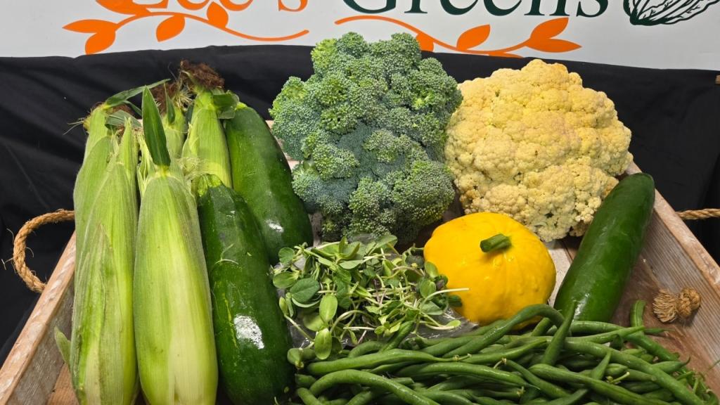 CSA produce share from Lee's Greens