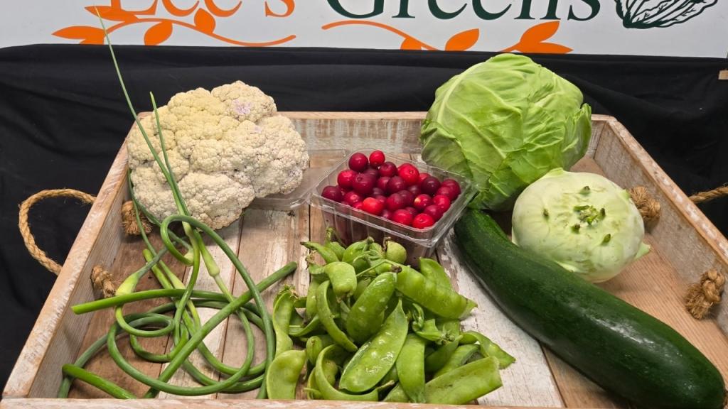 Small CSA share from June 2025
