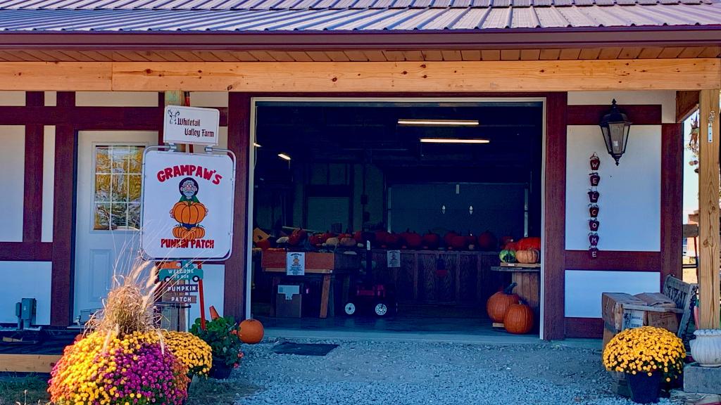 Grampaw's Pumpkin patch with plenty of fall pumpkins and decor