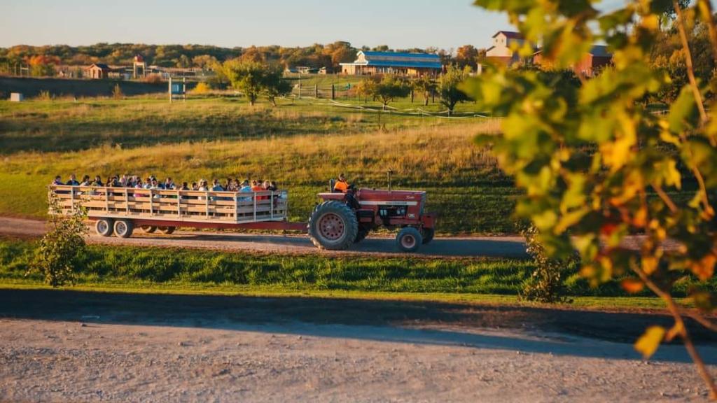Hay rack