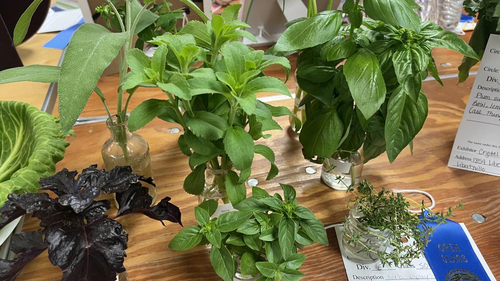 Herb collection