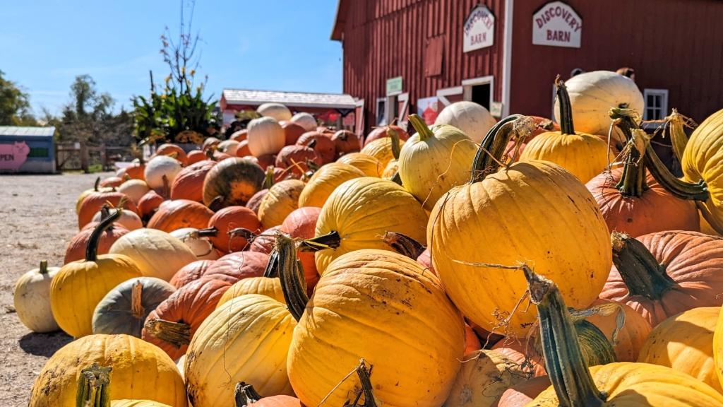 Pumpkins