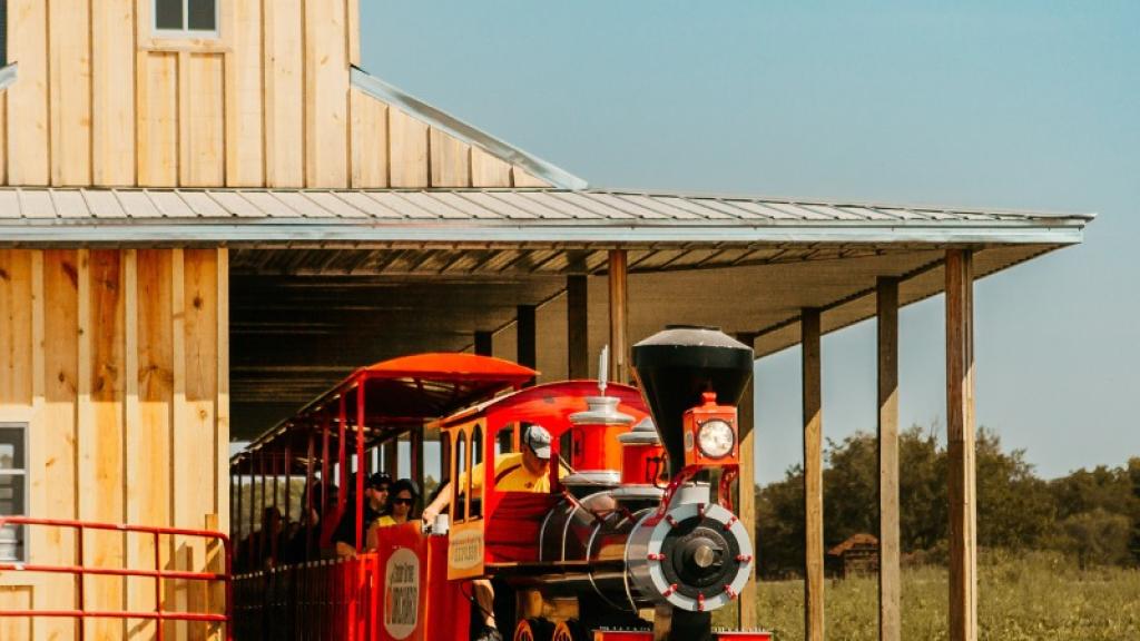 Train