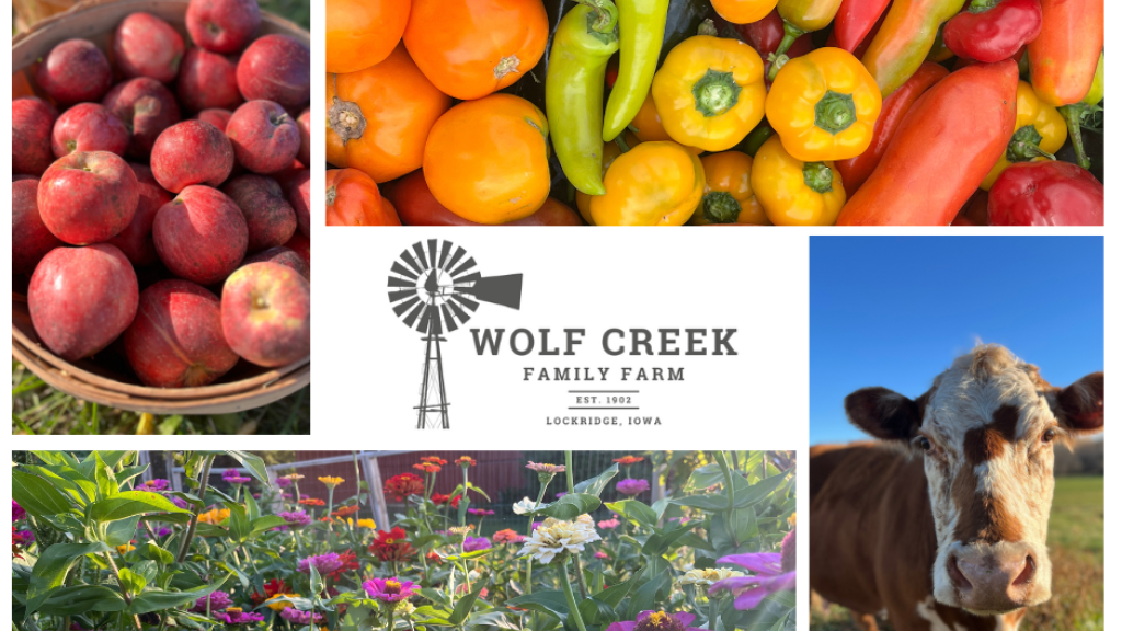 Apples, tomatoes, pepper, zinnias, and cow