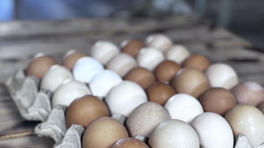 A flat of pasture raised farm fresh eggs