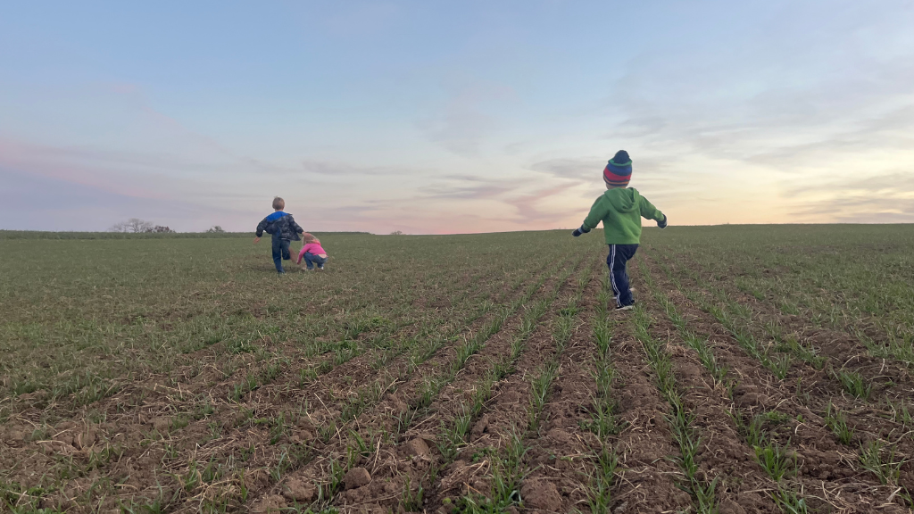 Image: Our kids love to help check stands of wheat on the farm