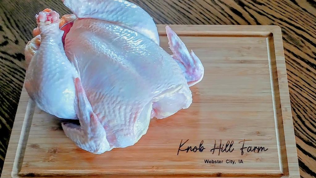 One of our Certified Organic, Pasture-raised Broiler Chickens.