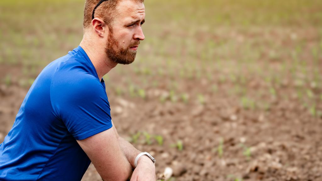 Bradford in corn field 