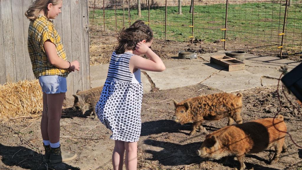 Girls playing in pig pasture
