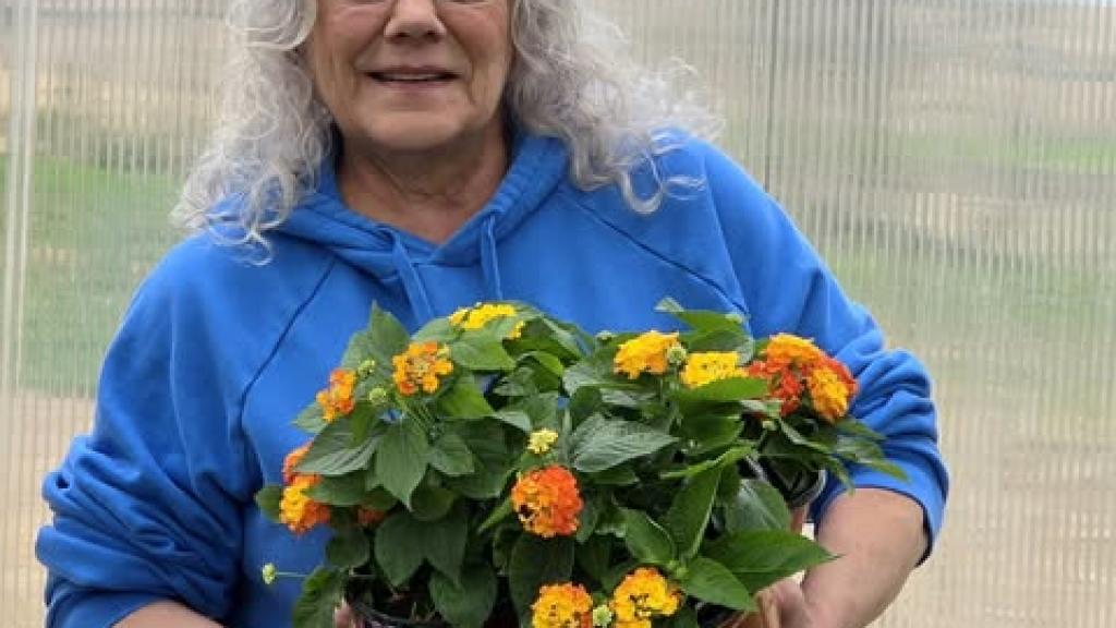 Jan is one of Cathy's Flower Habit ladies and chief mocktail tester