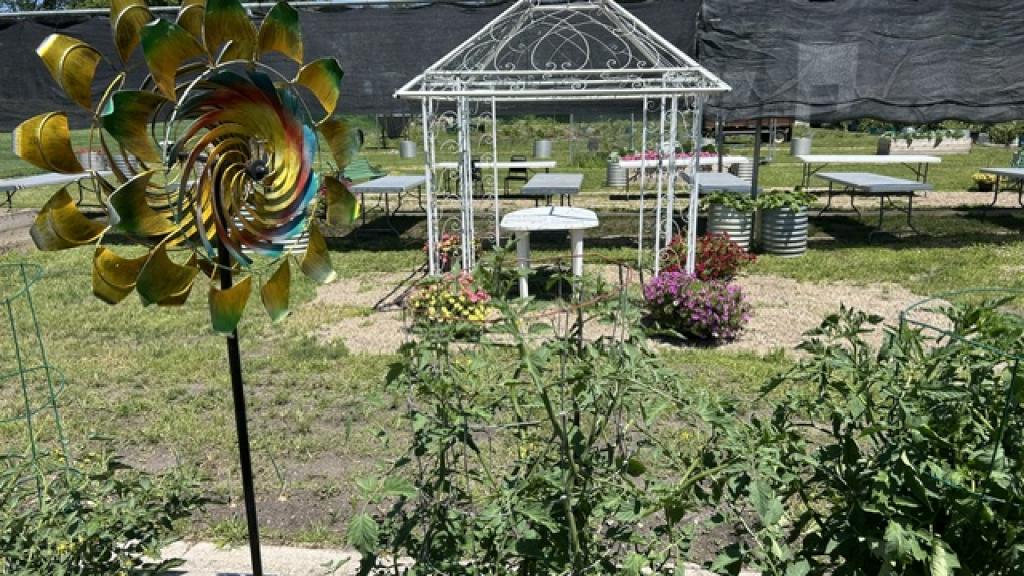 Outdoor dining for  our in-garden woodfired "Pizza & Petals" events.
