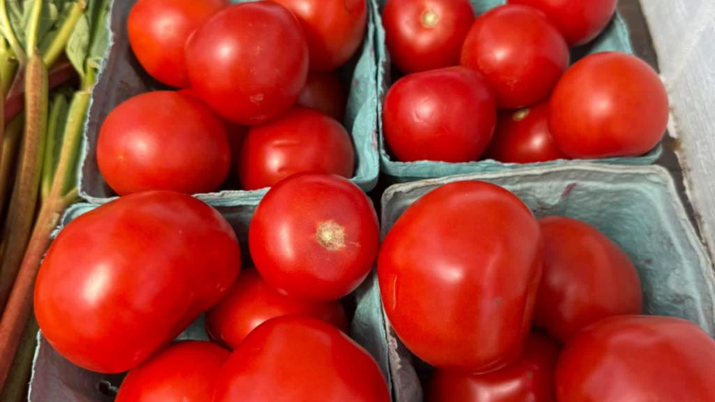 Tomatoes and rhubarb