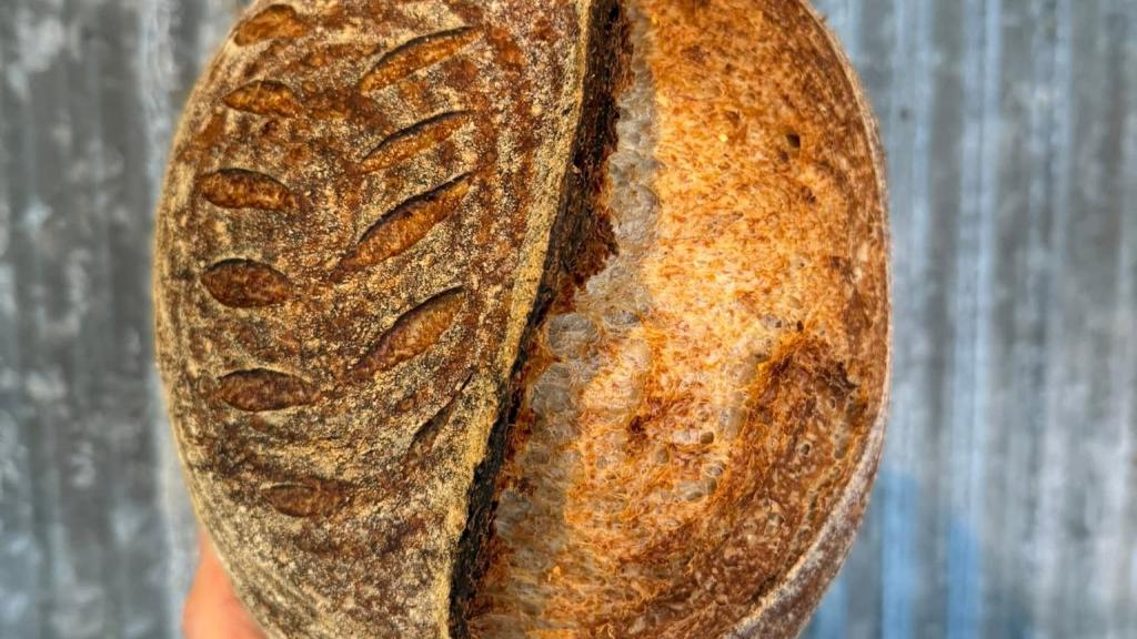 bread