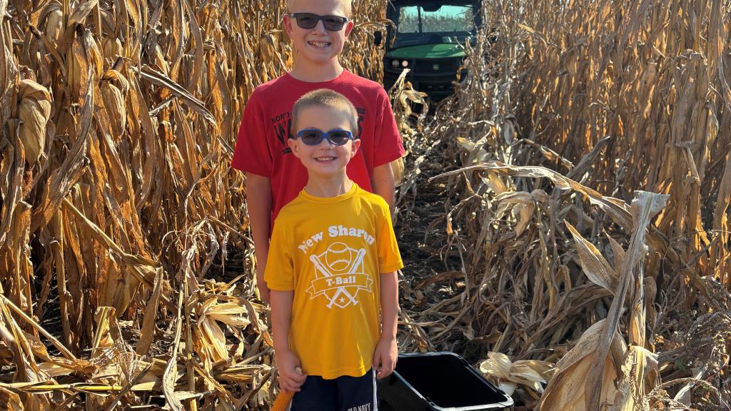 Picking popcorn