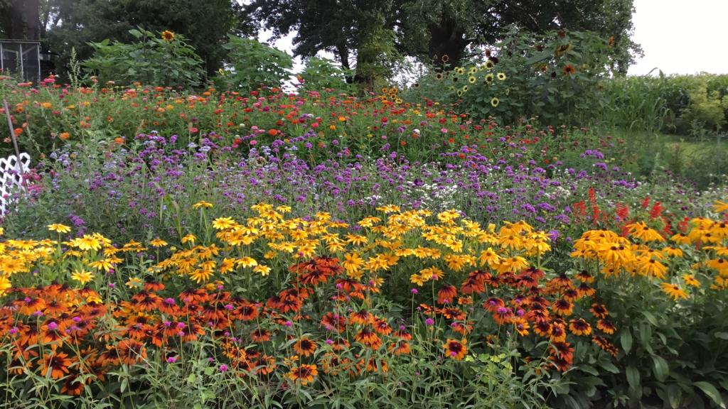 Cutflower area
