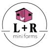 L + R mini farm