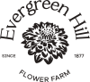 Evergreen Hill Flower Farm logo with a black and white contrast drawn dahlia in the center.