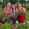 Cathy's Flower Habit ladies