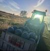Tractor with sunlight streaming behind and large box of produce in front
