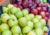 Apples