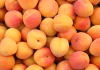 Apricots