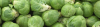 Brussel sprouts
