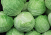 Cabbage