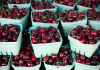 Cherries