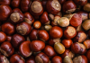 Chestnuts