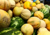 Melons