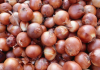 Onions