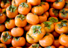 Persimmons