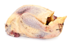 Pheasant