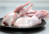 Quail