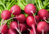 Radishes