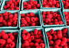 Raspberries