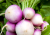Turnips